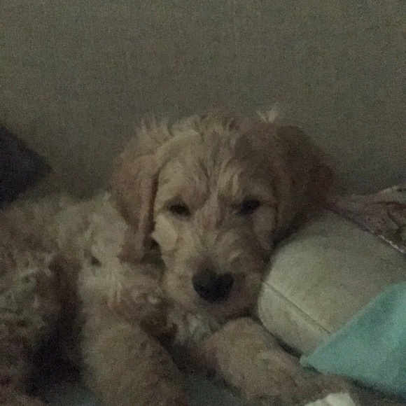 Meet your Posher, Todd - Picture 1 of 1